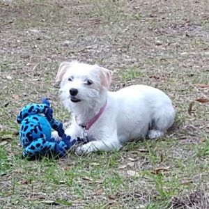 Meet your Posher, Kristina